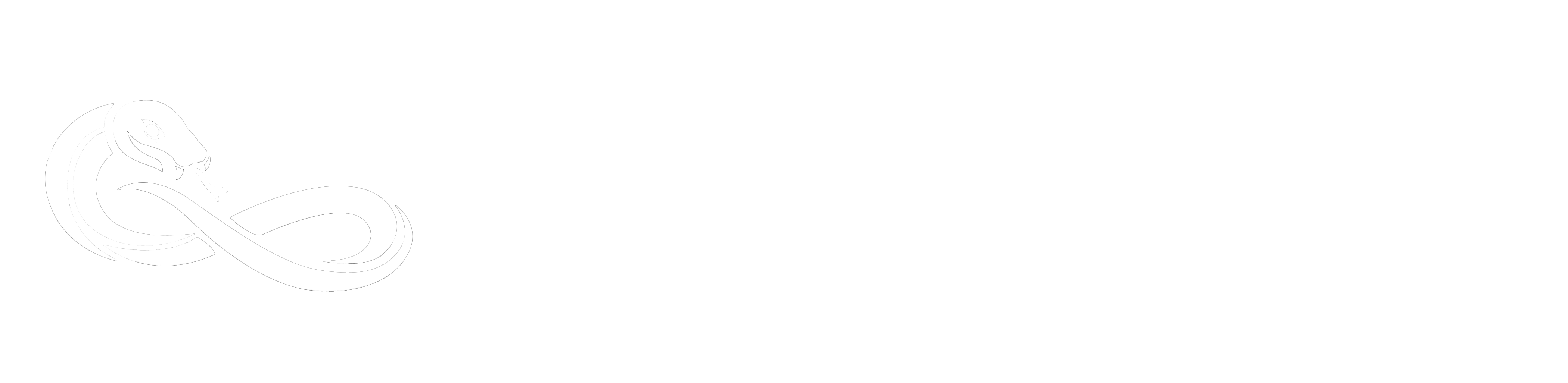 Anantis Logo